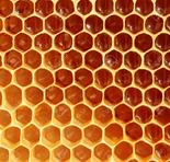 Honeycombs's Avatar