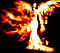 Angelic_Fire's Avatar